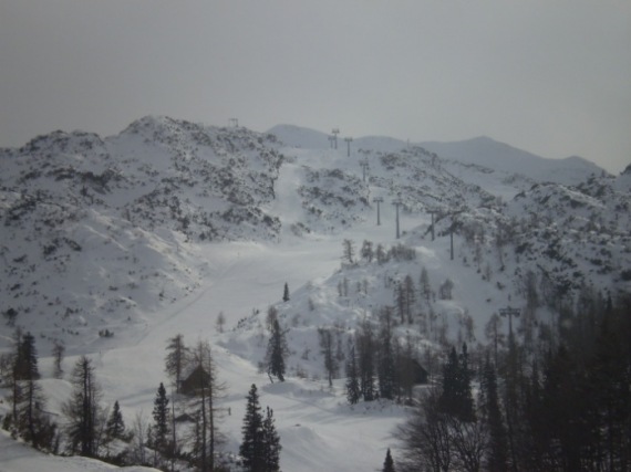 P1010033.JPG